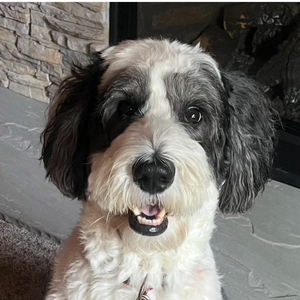 Fundraising Page: Traci Bruno
